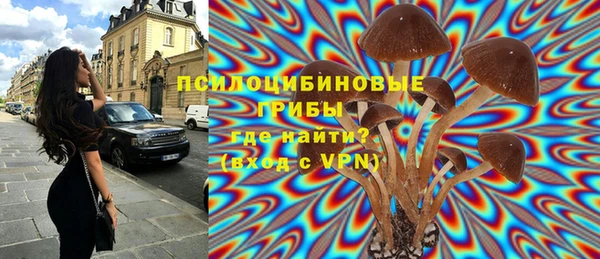 гидра Беломорск