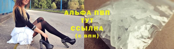 стафф Белокуриха
