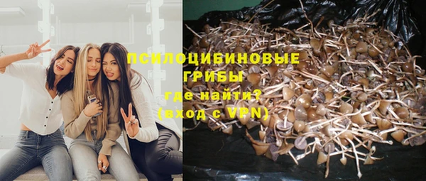 стафф Белокуриха