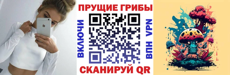 магазин продажи наркотиков  Ярцево  Псилоцибиновые грибы Psilocybine cubensis 